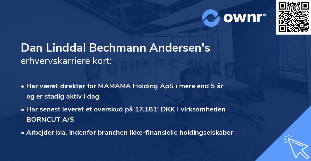 Dan Linddal Bechmann Andersen's erhvervskarriere kort