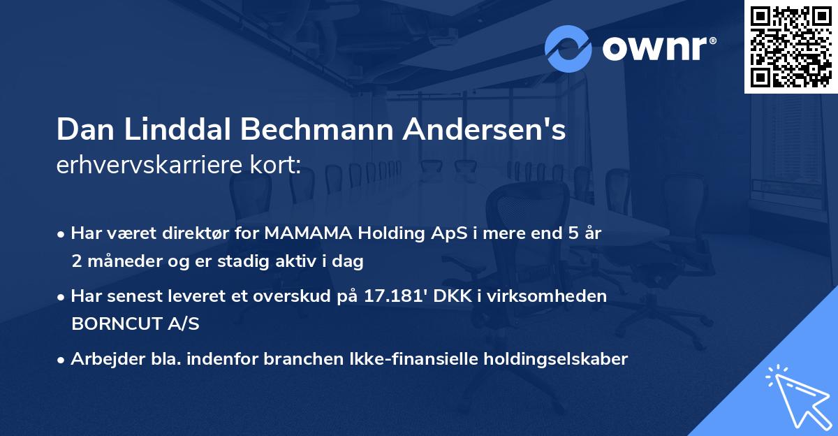 Dan Linddal Bechmann Andersen's erhvervskarriere kort