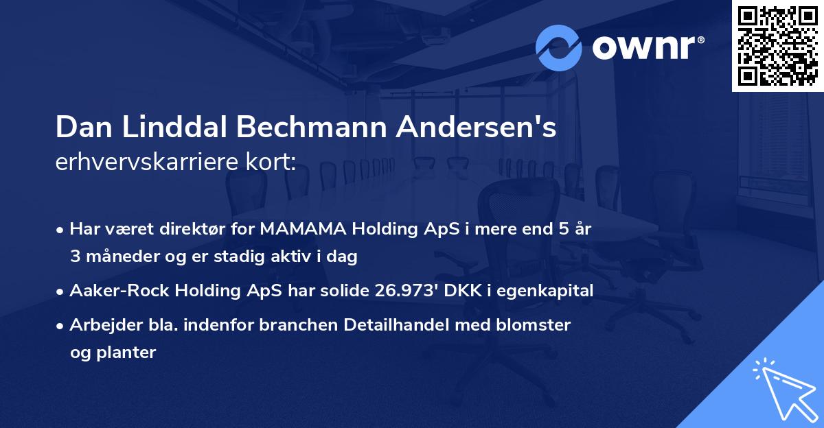 Dan Linddal Bechmann Andersen's erhvervskarriere kort
