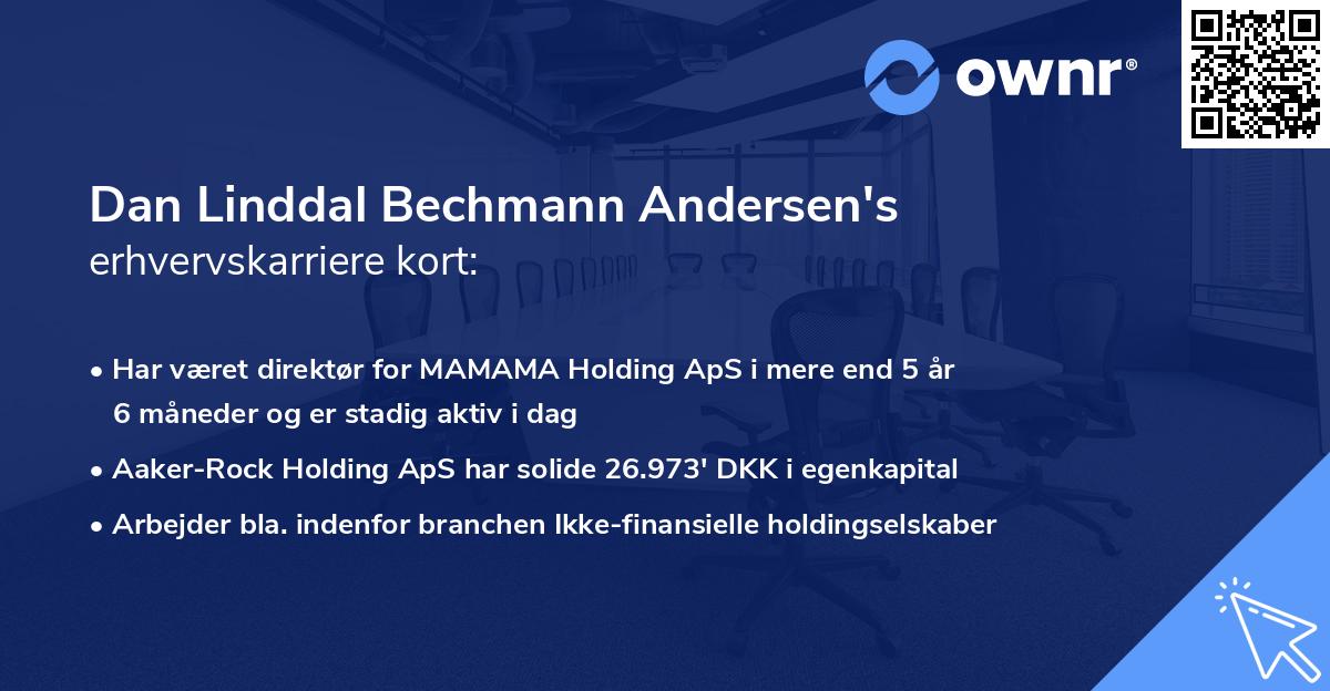 Dan Linddal Bechmann Andersen's erhvervskarriere kort
