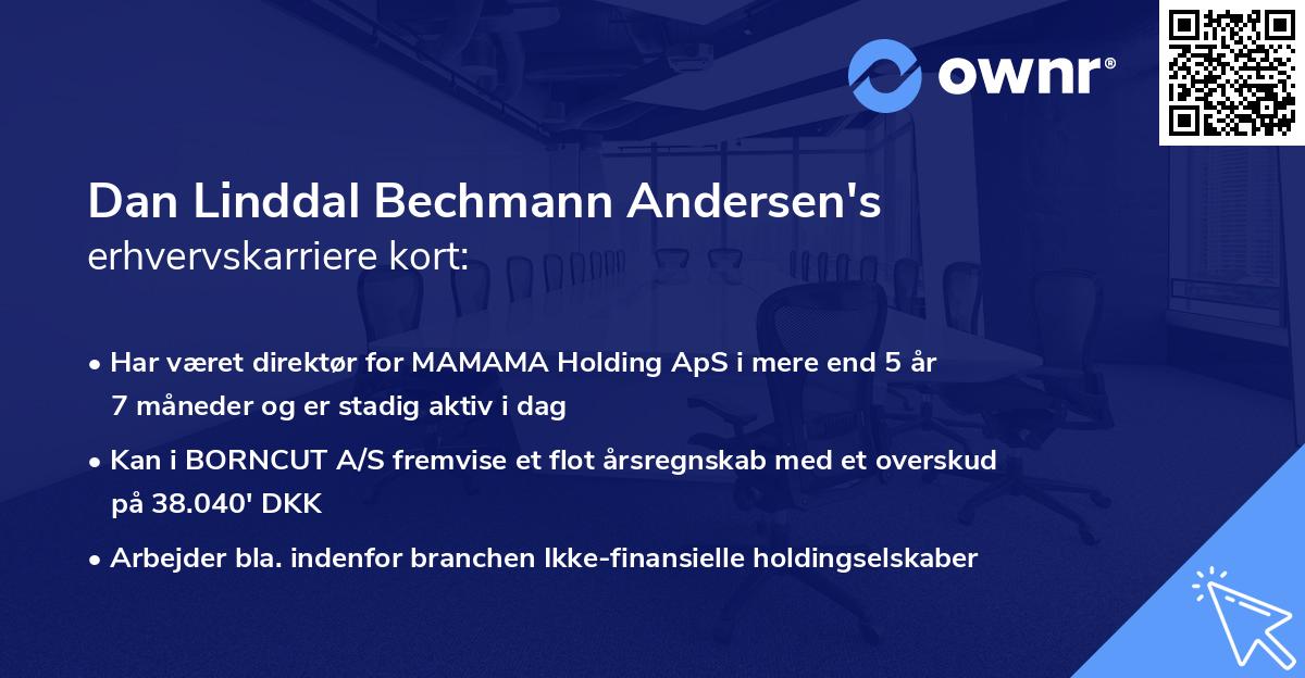 Dan Linddal Bechmann Andersen's erhvervskarriere kort