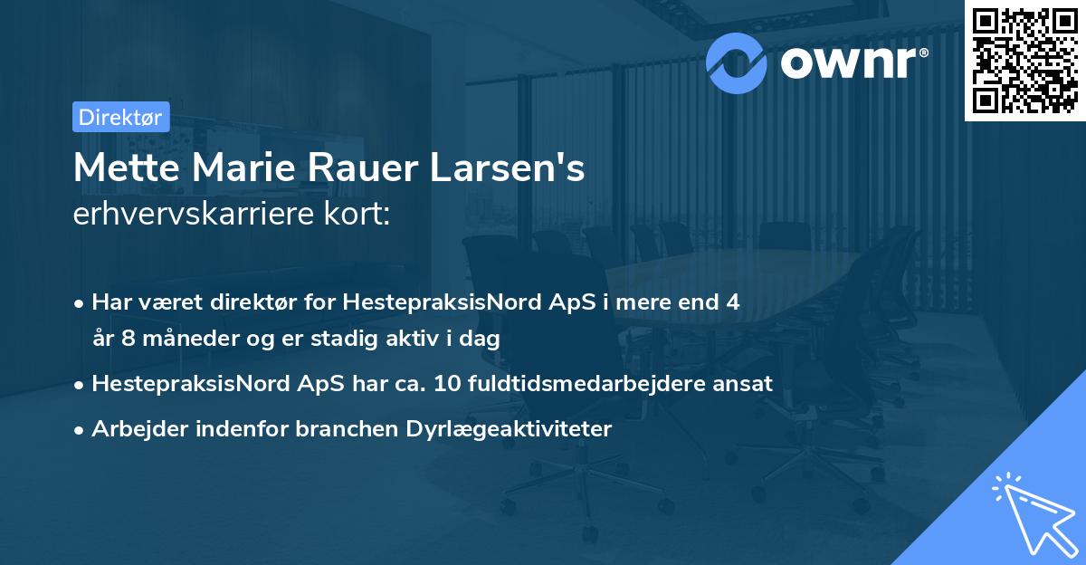 Mette Marie Rauer Larsen's erhvervskarriere kort