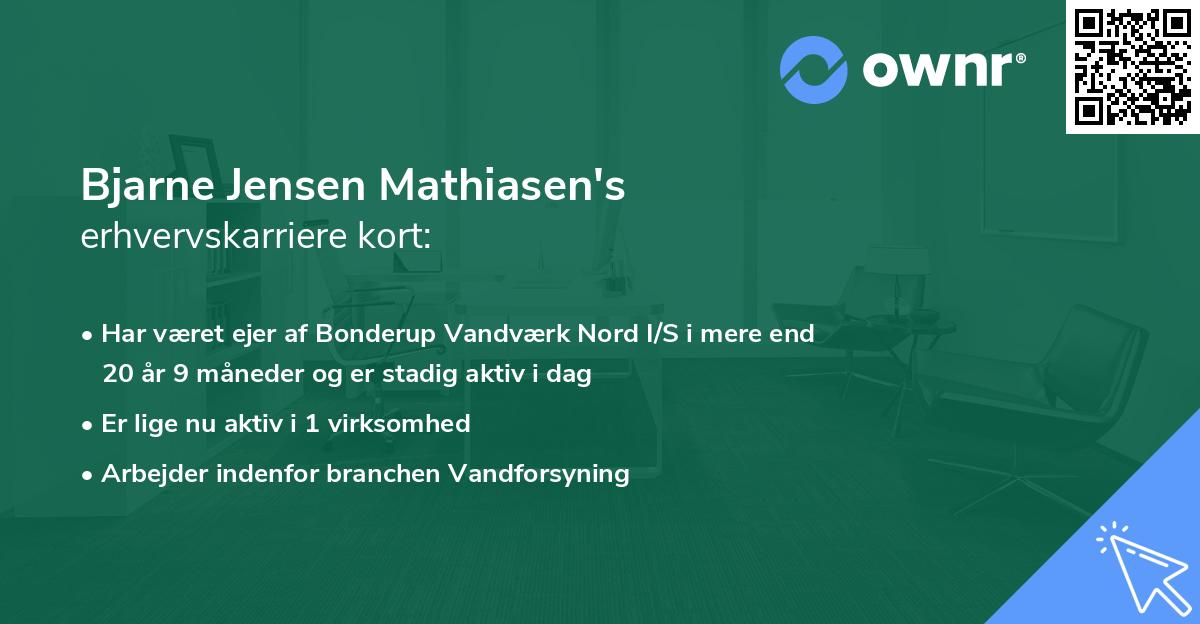 Bjarne Jensen Mathiasen's erhvervskarriere kort