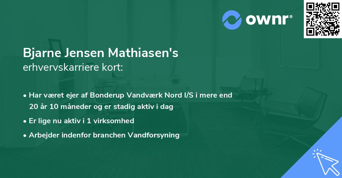 Bjarne Jensen Mathiasen's erhvervskarriere kort