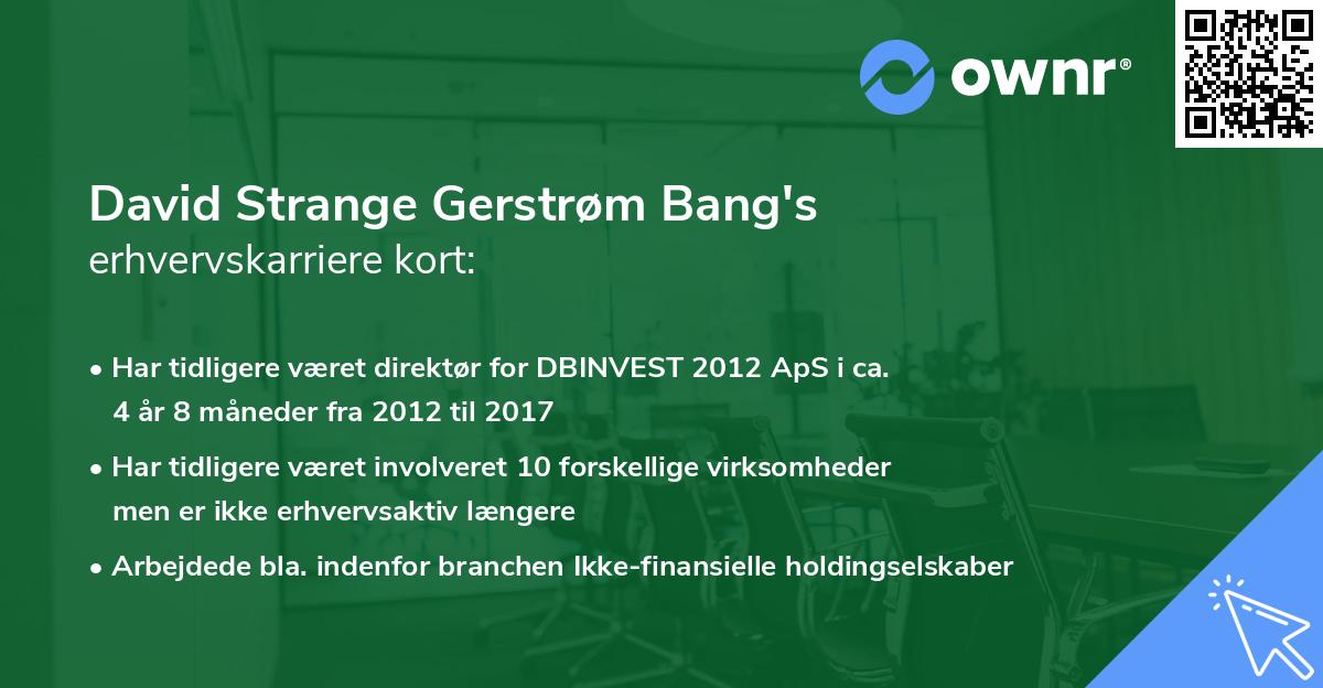 David Strange Gerstrøm Bang's erhvervskarriere kort