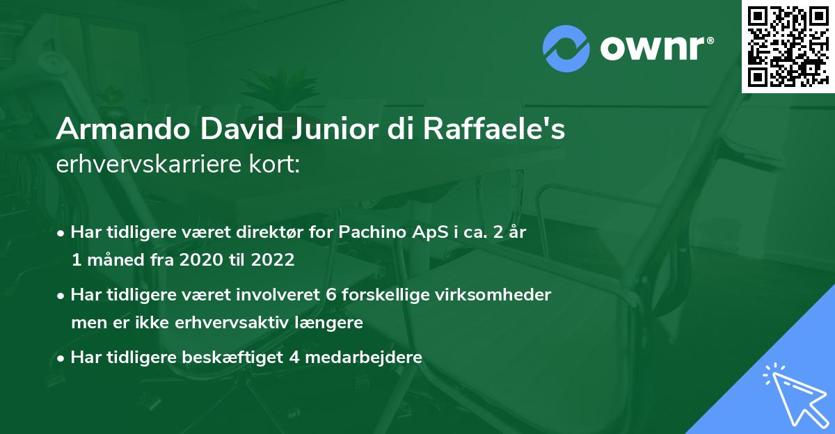 Armando David Junior di Raffaele's erhvervskarriere kort
