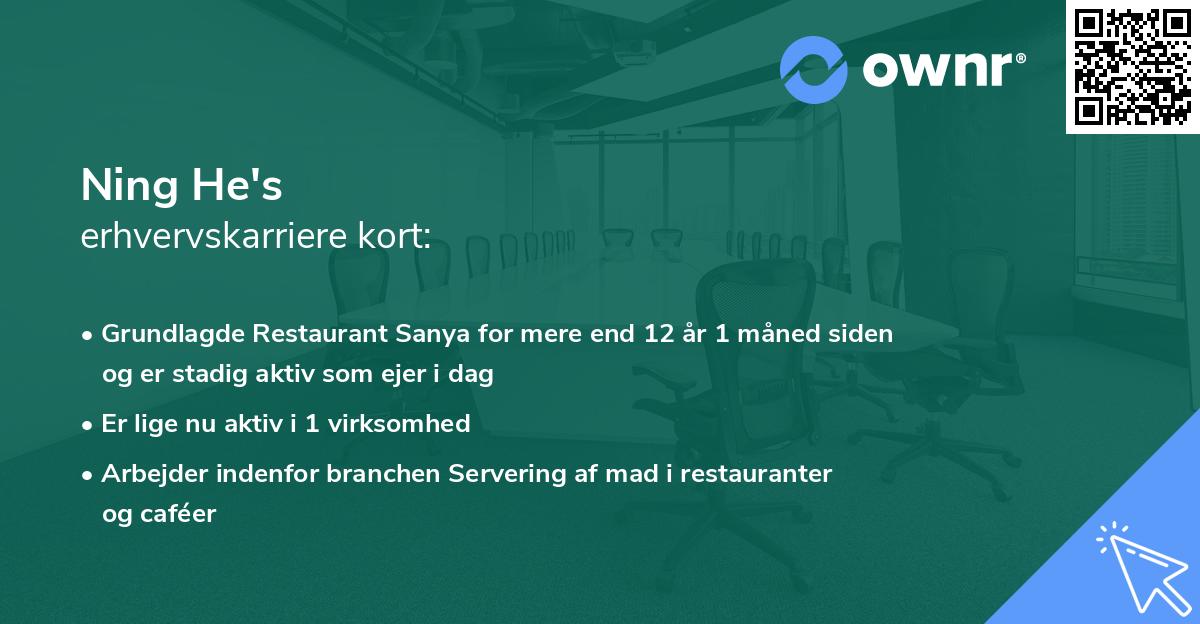 Ning He's erhvervskarriere kort