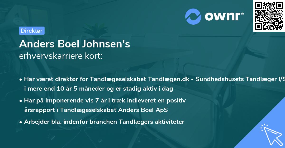 Anders Boel Johnsen's erhvervskarriere kort