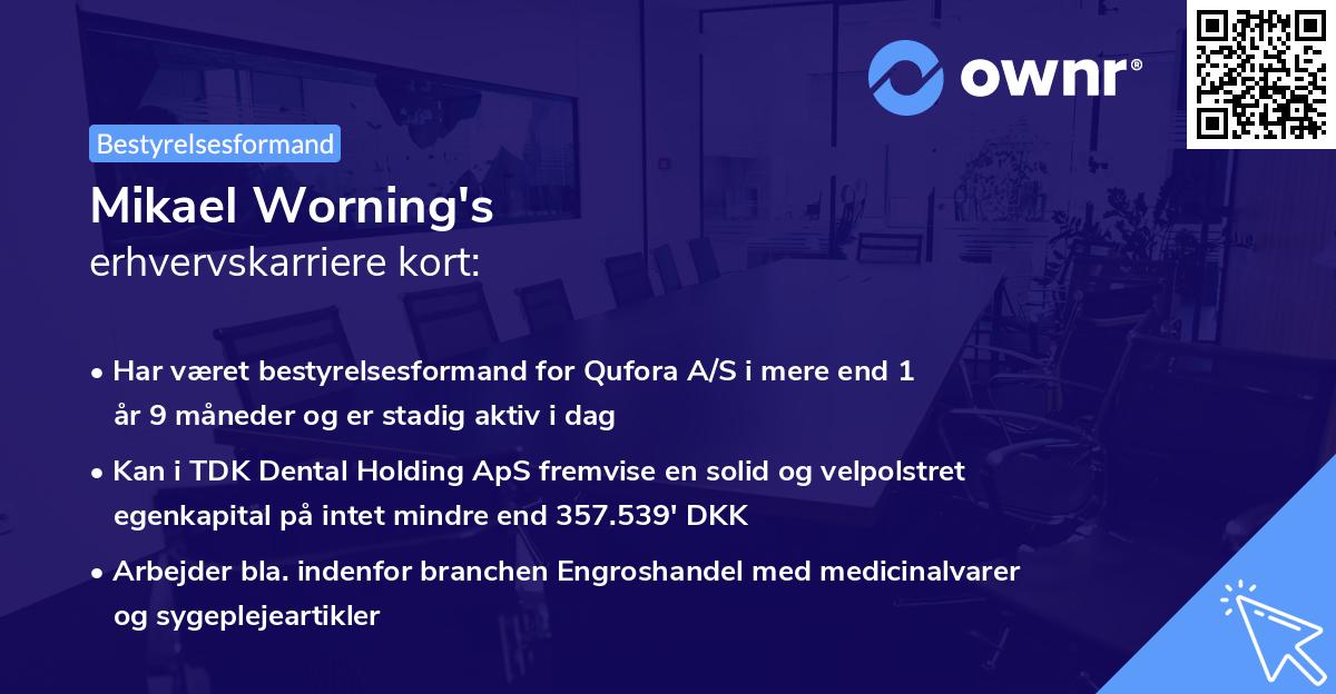 Mikael Worning's erhvervskarriere kort