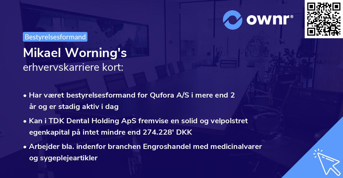 Mikael Worning's erhvervskarriere kort