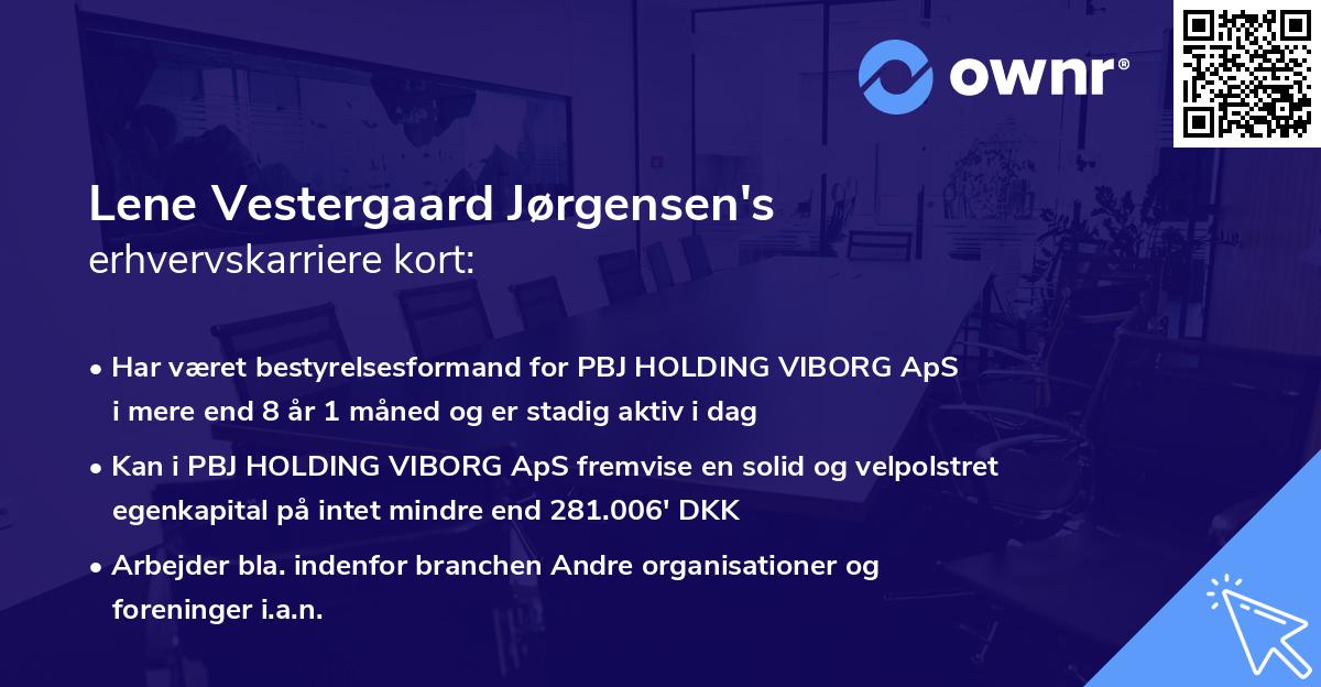 Lene Vestergaard Jørgensen's erhvervskarriere kort