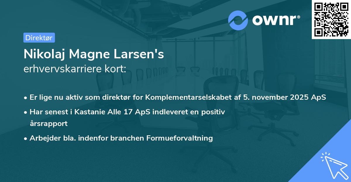 Nikolaj Magne Larsen's erhvervskarriere kort