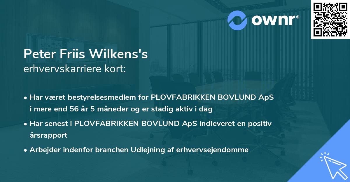 Peter Friis Wilkens's erhvervskarriere kort
