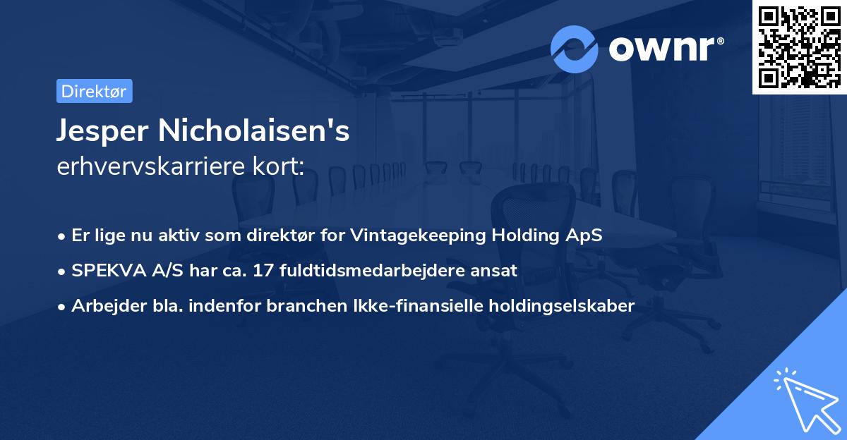 Jesper Nicholaisen's erhvervskarriere kort