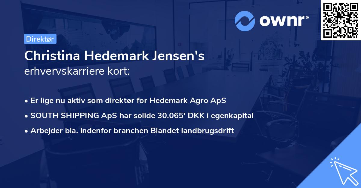 Christina Hedemark Jensen's erhvervskarriere kort