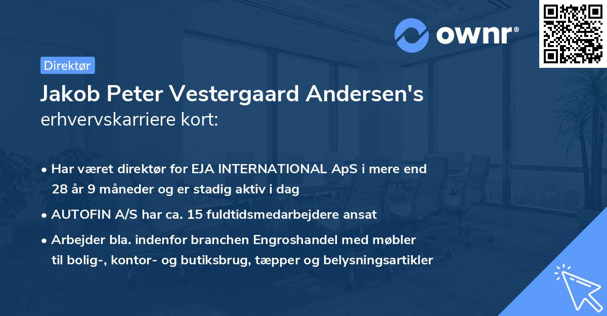 Jakob Peter Vestergaard Andersen's erhvervskarriere kort
