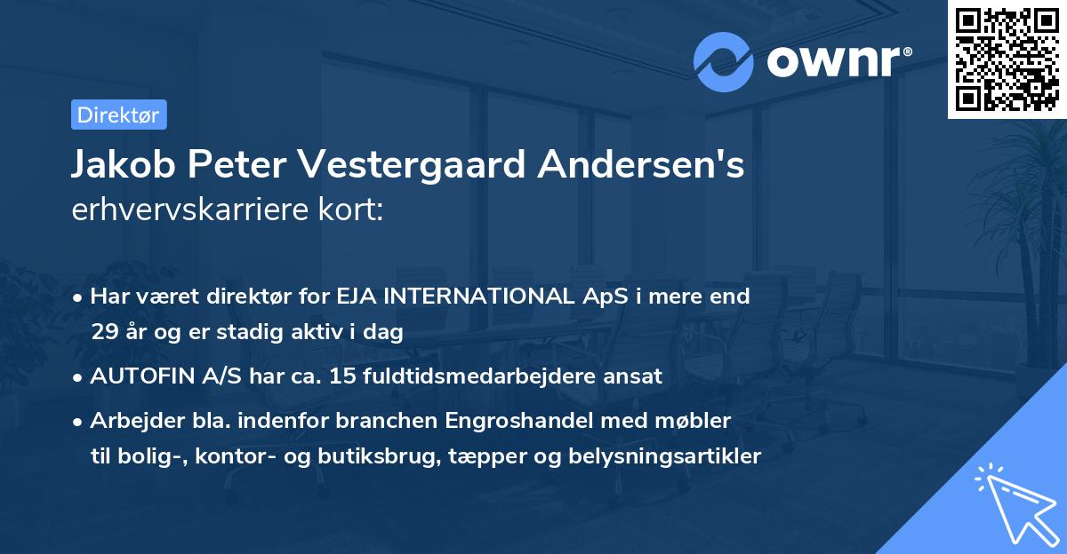 Jakob Peter Vestergaard Andersen's erhvervskarriere kort