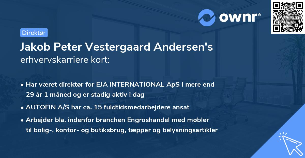 Jakob Peter Vestergaard Andersen's erhvervskarriere kort