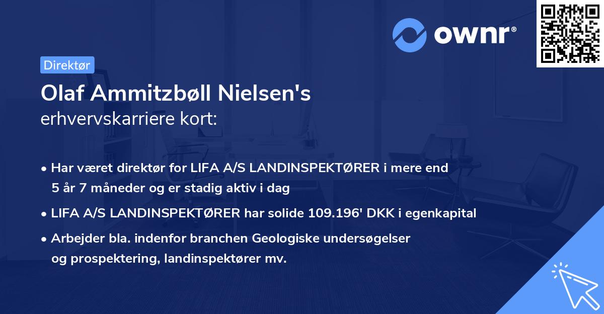 Olaf Ammitzbøll Nielsen's erhvervskarriere kort