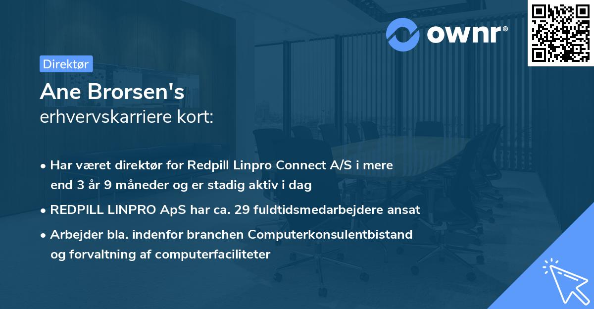 Ane Brorsen's erhvervskarriere kort
