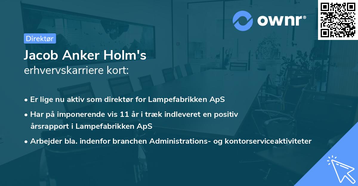 Jacob Anker Holm's erhvervskarriere kort