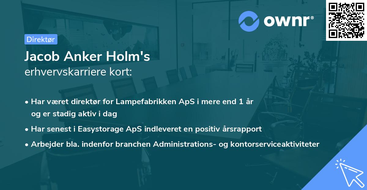 Jacob Anker Holm's erhvervskarriere kort
