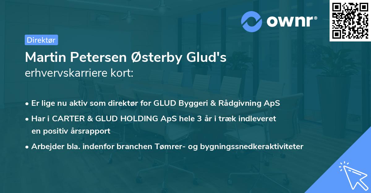 Martin Petersen Østerby Glud's erhvervskarriere kort