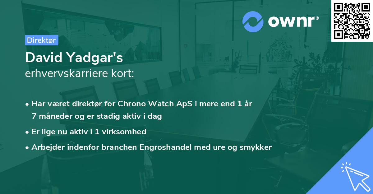David Yadgar's erhvervskarriere kort