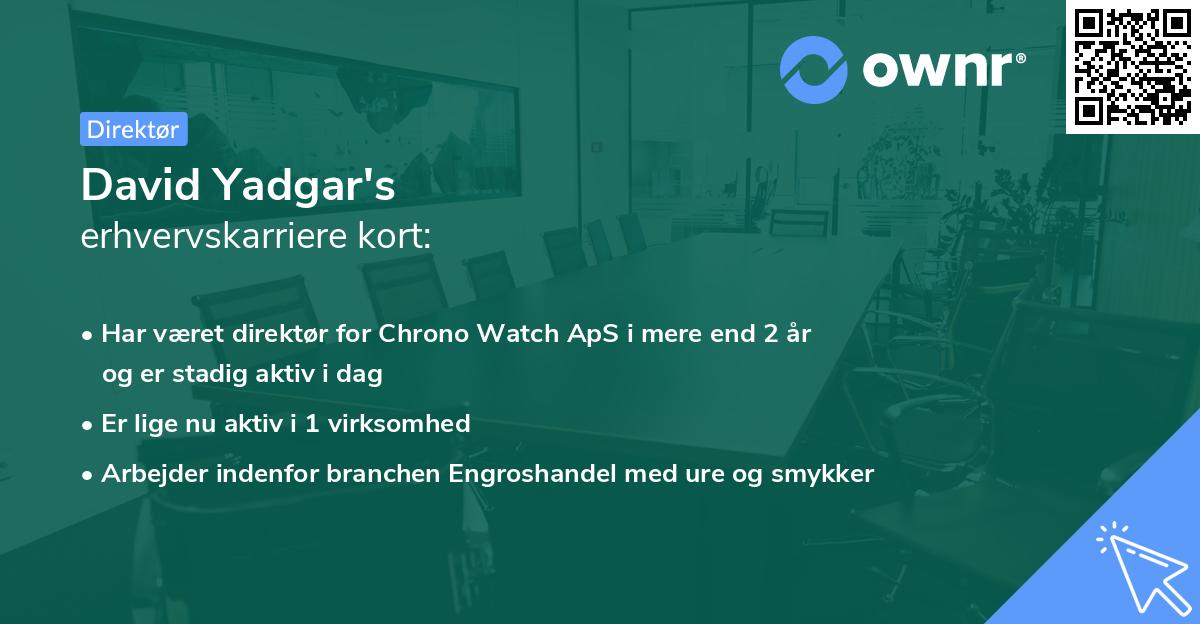 David Yadgar's erhvervskarriere kort