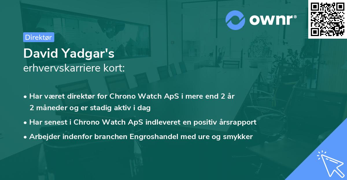 David Yadgar's erhvervskarriere kort