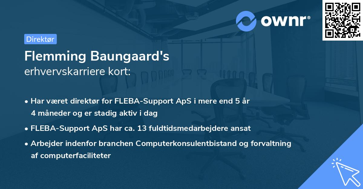 Flemming Baungaard's erhvervskarriere kort