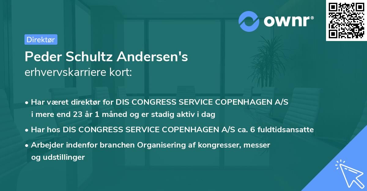 Peder Schultz Andersen's erhvervskarriere kort
