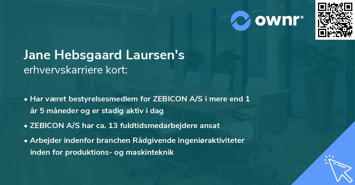 Jane Hebsgaard Laursen's erhvervskarriere kort