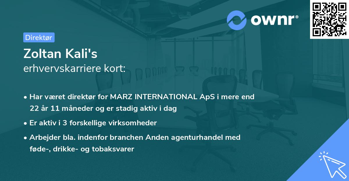 Zoltan Kali's erhvervskarriere kort