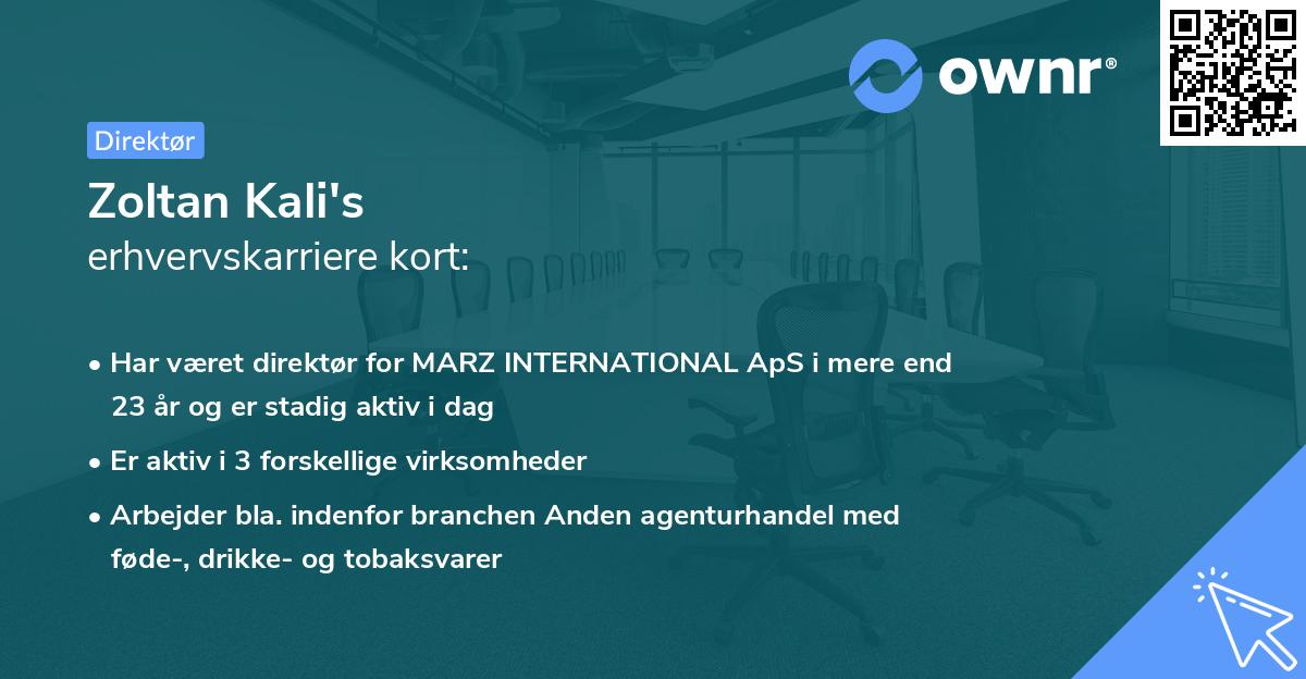 Zoltan Kali's erhvervskarriere kort