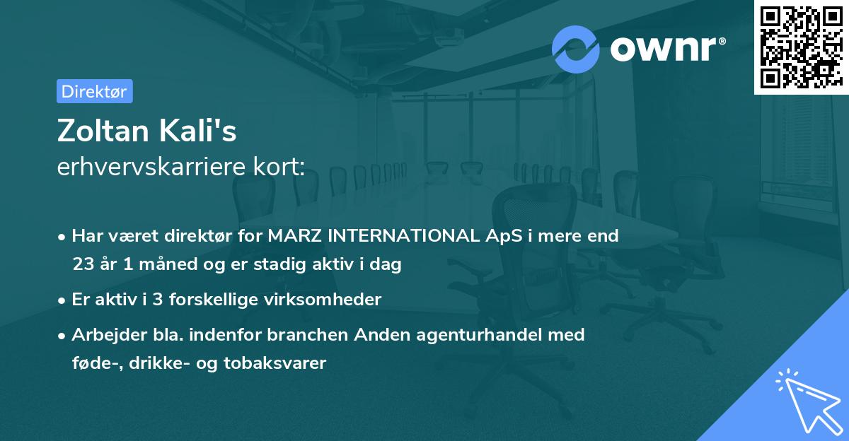 Zoltan Kali's erhvervskarriere kort