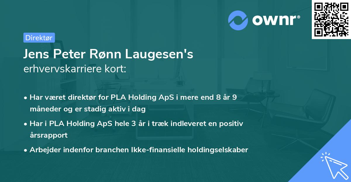 Jens Peter Rønn Laugesen's erhvervskarriere kort