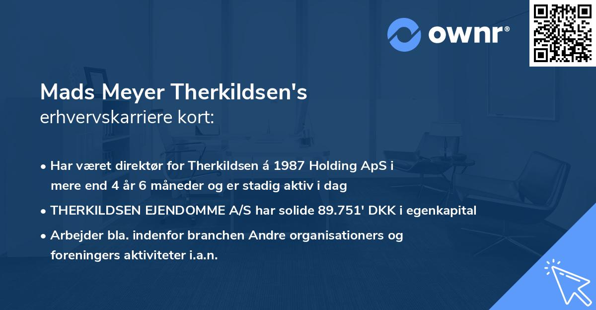 Mads Meyer Therkildsen's erhvervskarriere kort