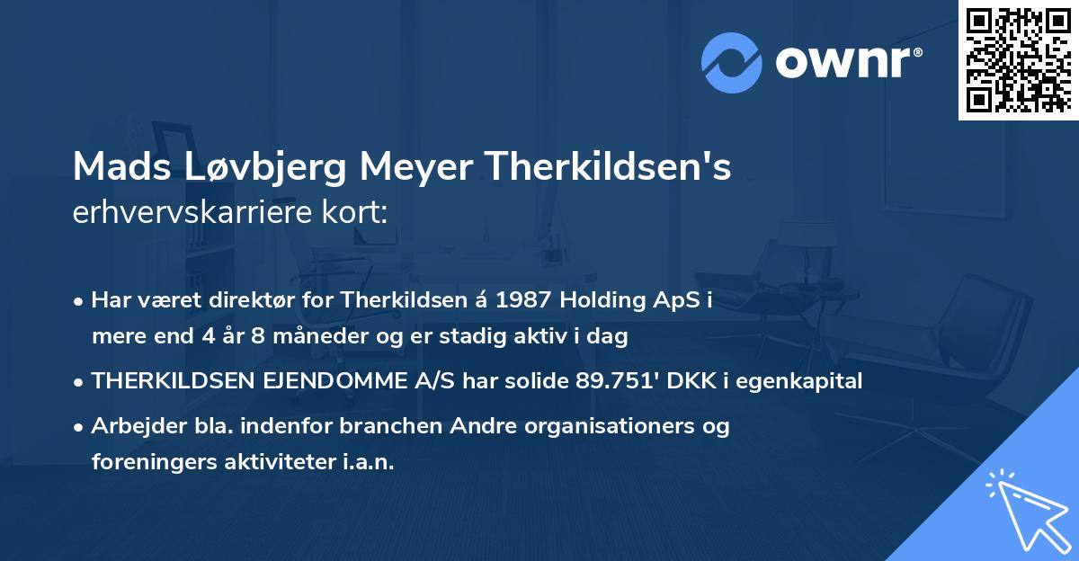 Mads Løvbjerg Meyer Therkildsen's erhvervskarriere kort