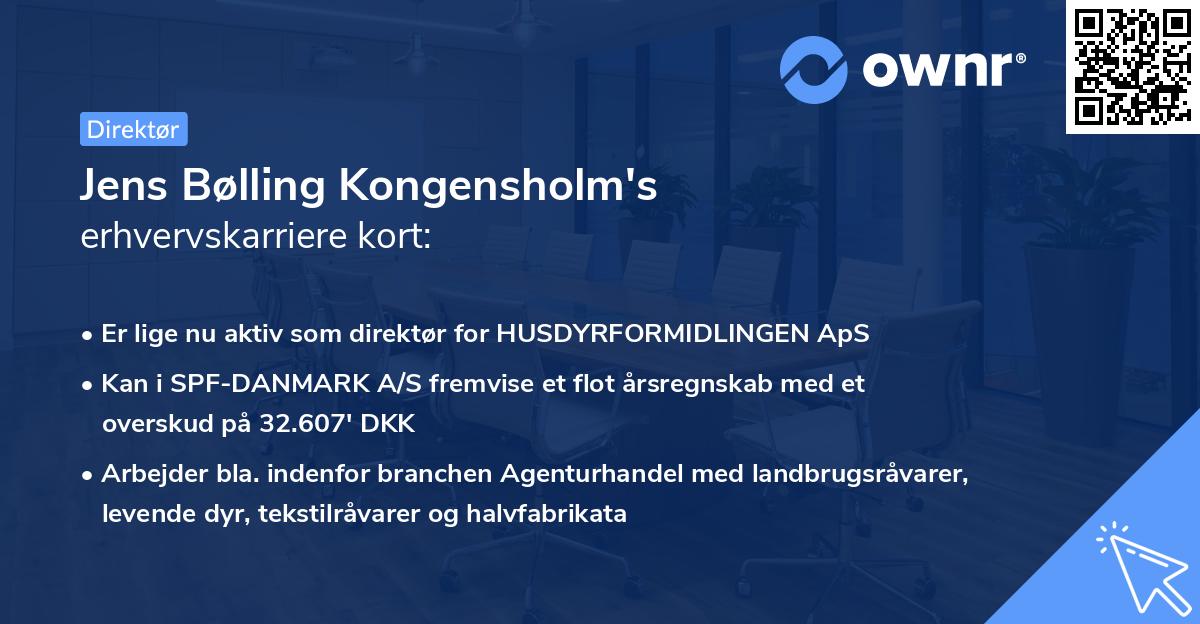 Jens Bølling Kongensholm's erhvervskarriere kort