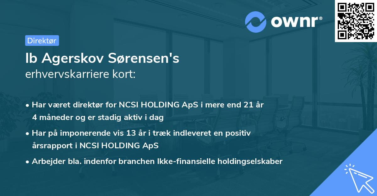 Ib Agerskov Sørensen's erhvervskarriere kort