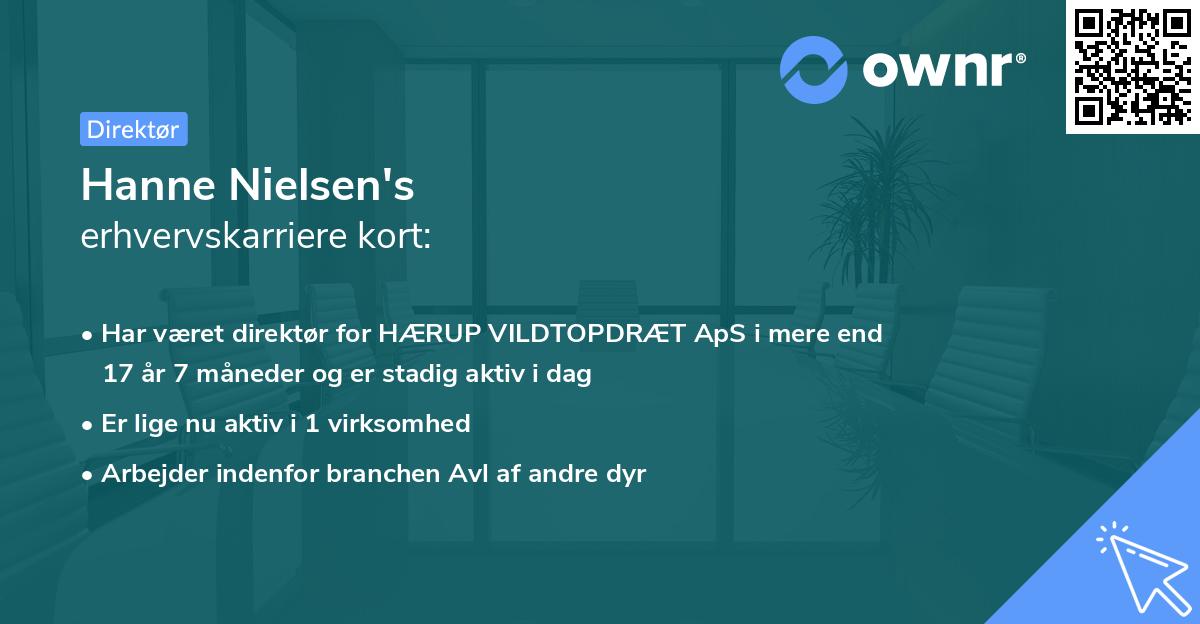 Hanne Nielsen's erhvervskarriere kort