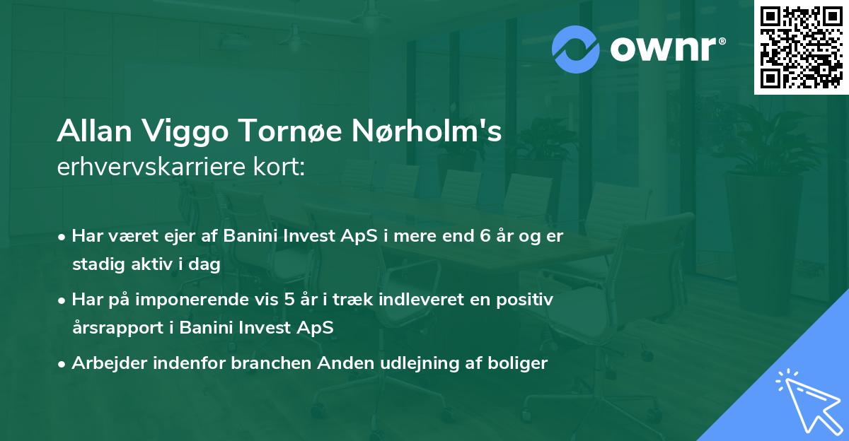 Allan Viggo Tornøe Nørholm's erhvervskarriere kort