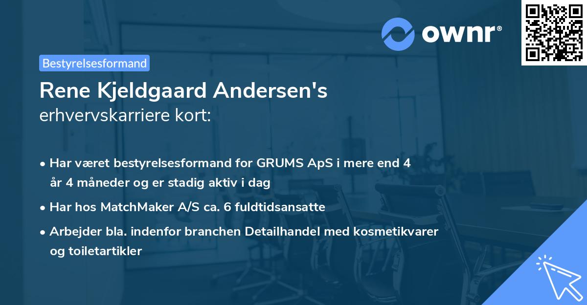 Rene Kjeldgaard Andersen's erhvervskarriere kort