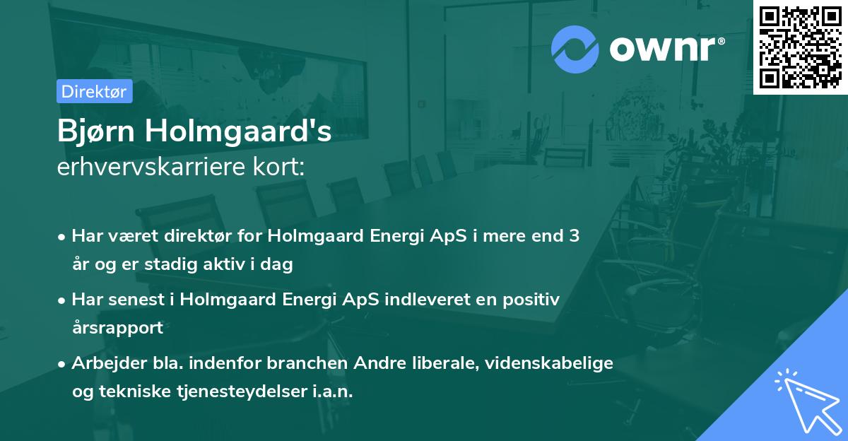 Bjørn Holmgaard's erhvervskarriere kort