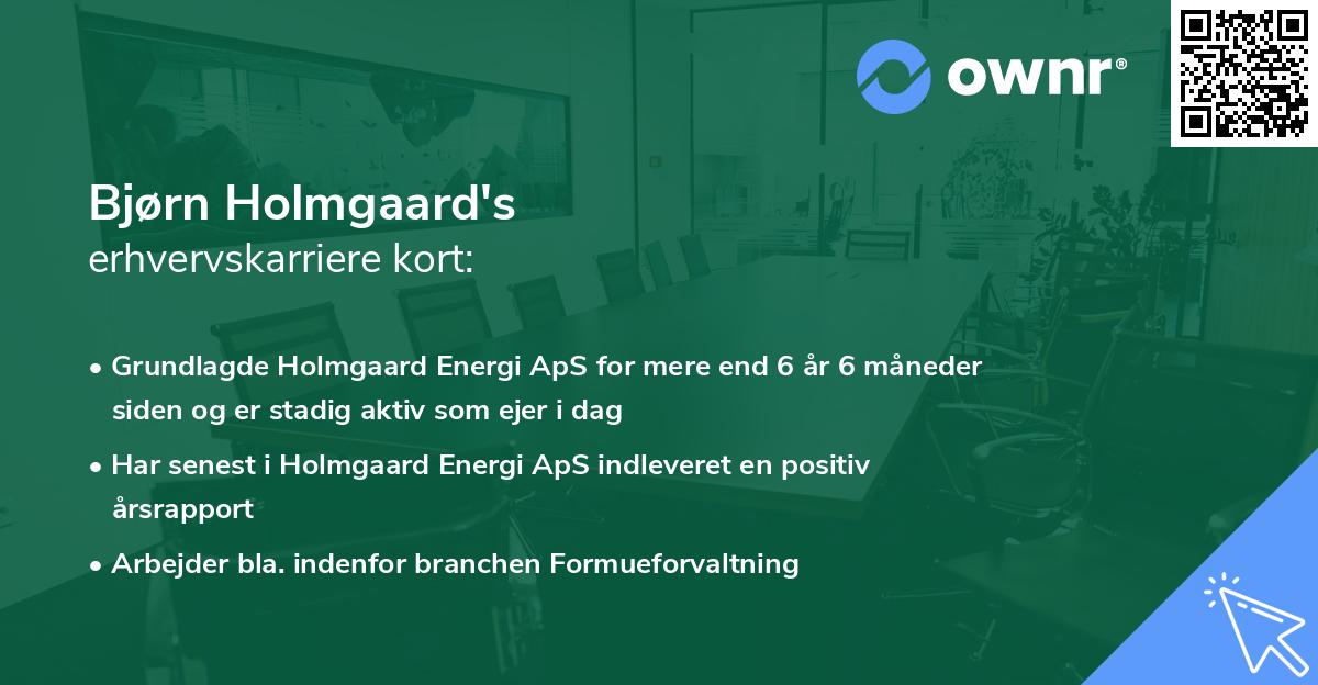 Bjørn Holmgaard's erhvervskarriere kort