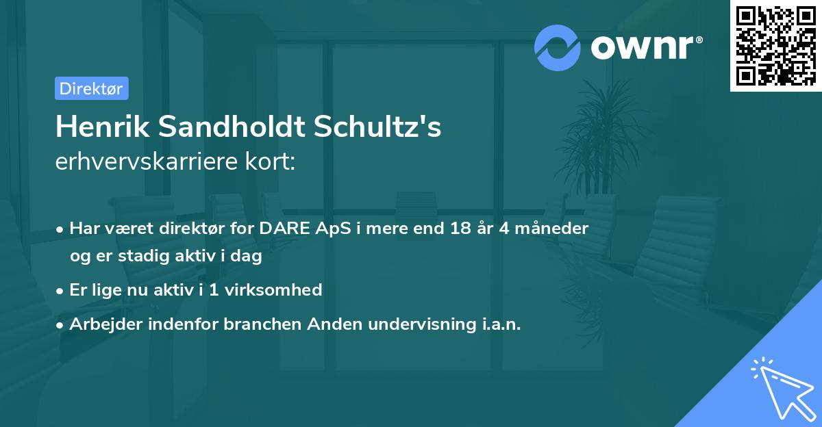 Henrik Sandholdt Schultz's erhvervskarriere kort