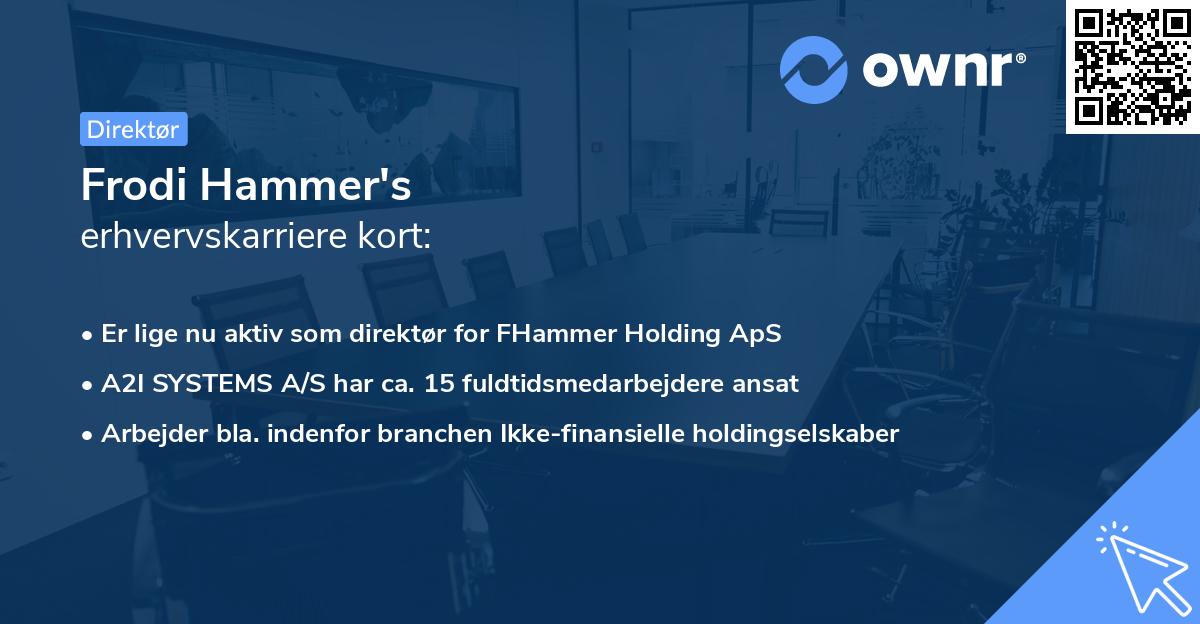 Frodi Hammer's erhvervskarriere kort