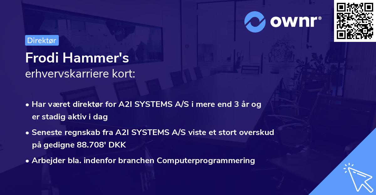Frodi Hammer's erhvervskarriere kort