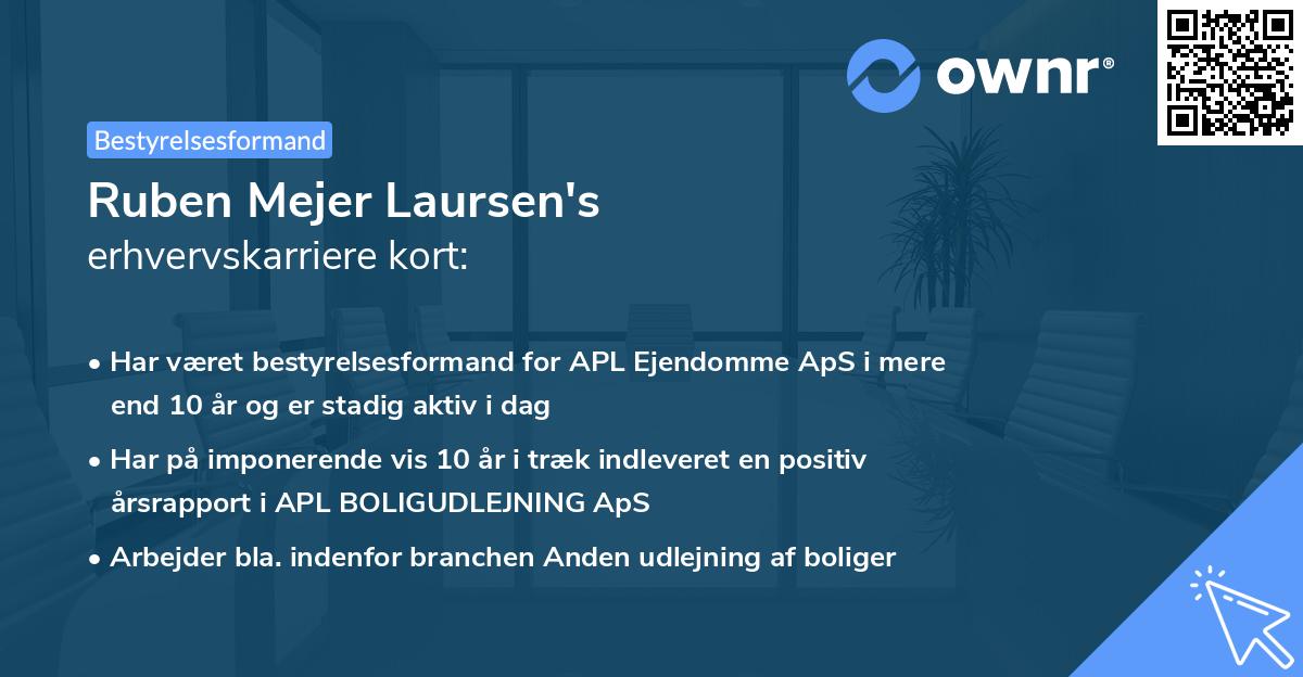Ruben Mejer Laursen's erhvervskarriere kort